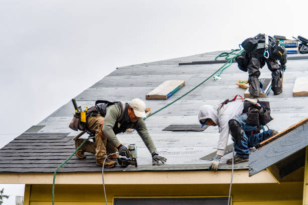 Professional Roofing technician working in Little Cedar, IA
